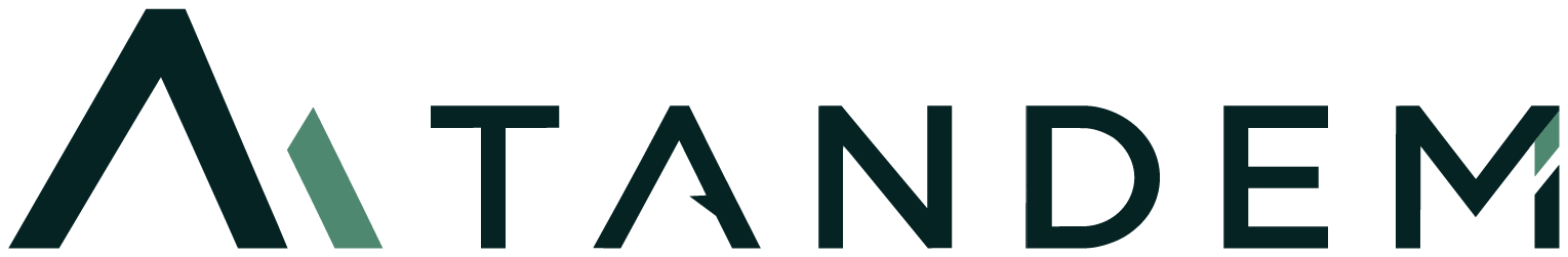 TANDEM – Verslo finansų architektūra